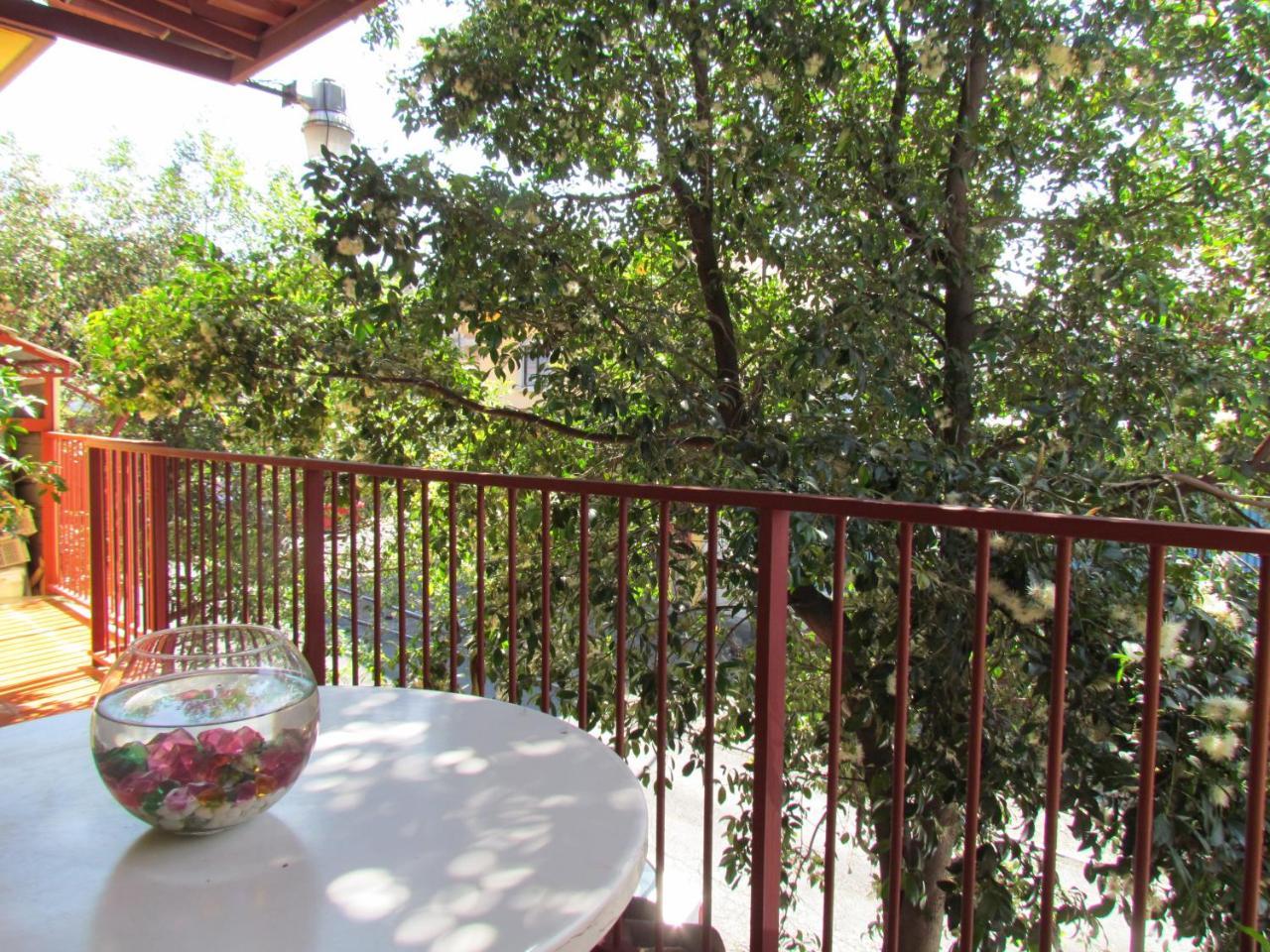 Hostel Shakti Сан Хосе Екстериор снимка